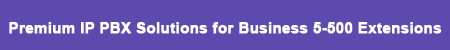 Premium IP PBX Solutions for Business 5-500 Extensions